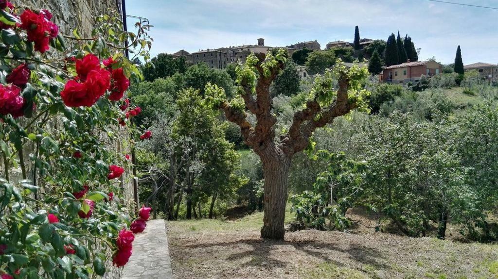 Sant'Angelo in Colle Colombaio In Colle Bed & Breakfast エクステリア 写真