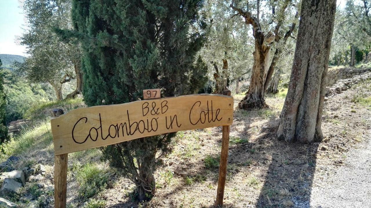 Sant'Angelo in Colle Colombaio In Colle Bed & Breakfast エクステリア 写真