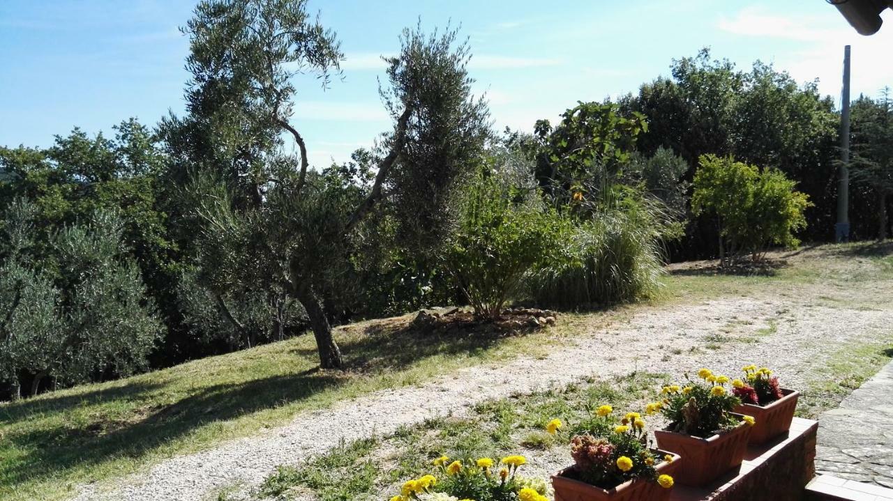 Sant'Angelo in Colle Colombaio In Colle Bed & Breakfast エクステリア 写真
